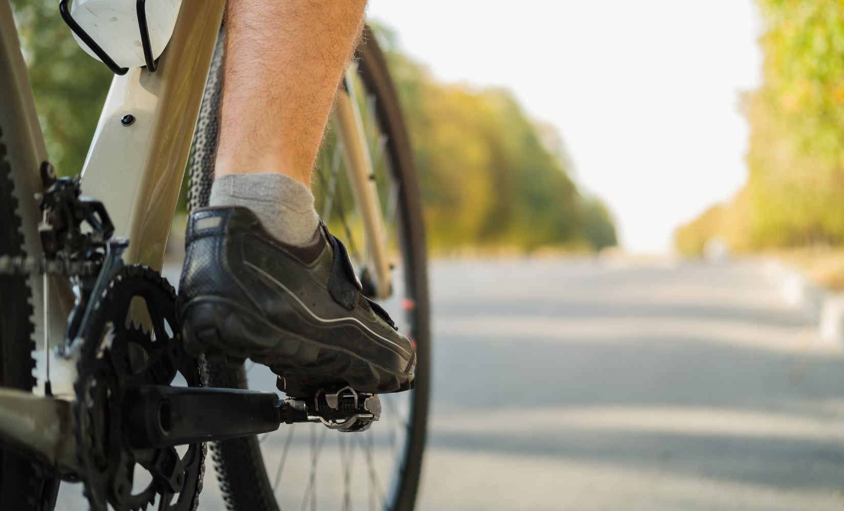 bike pedals and clips